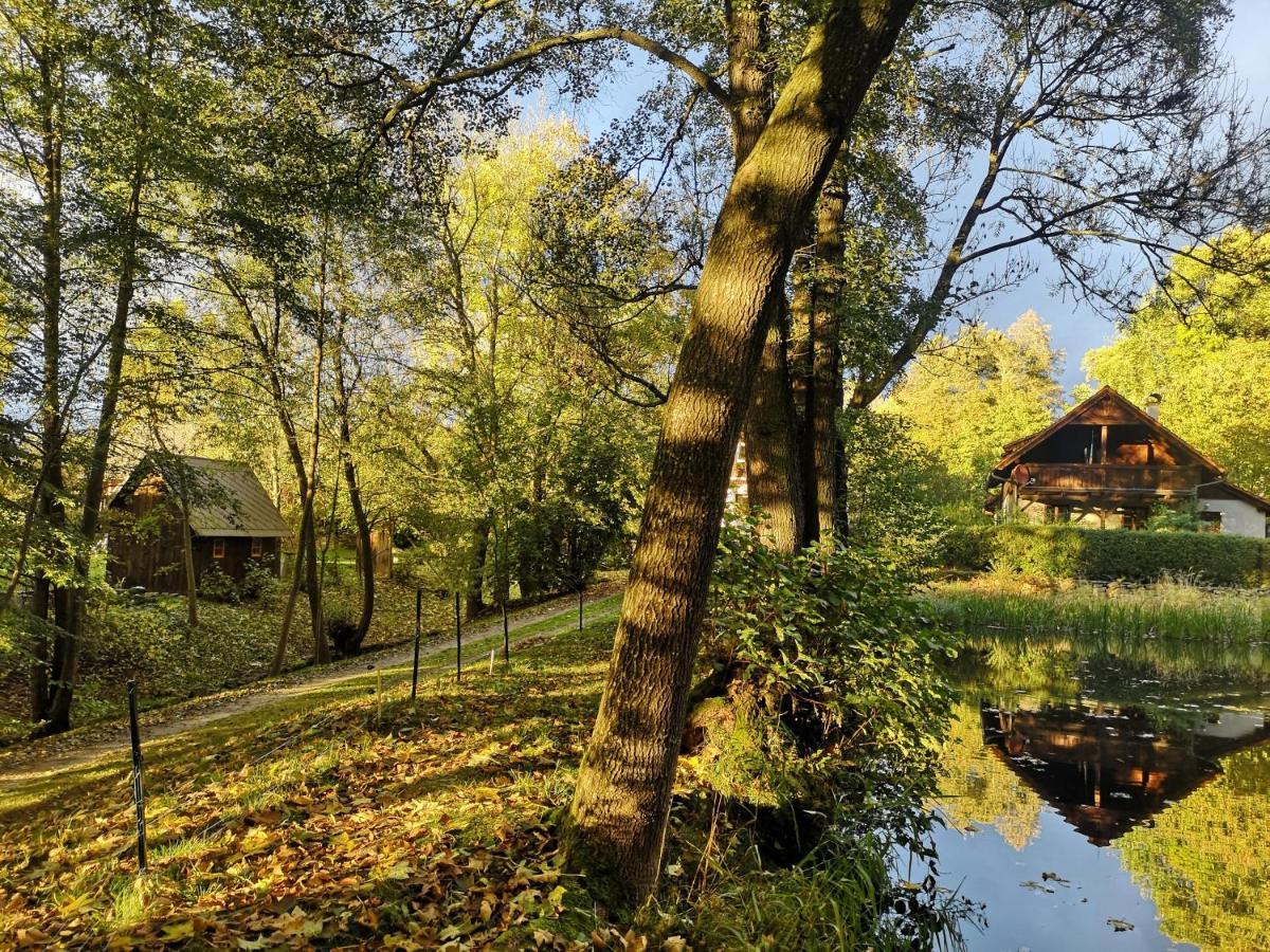 Apartmany Cerveny Dvur Chvalšiny Exterior foto