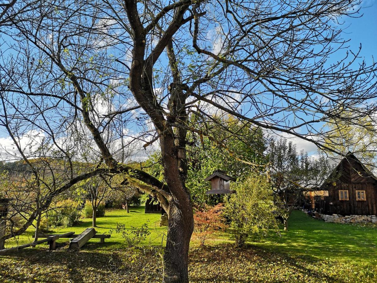 Apartmany Cerveny Dvur Chvalšiny Exterior foto
