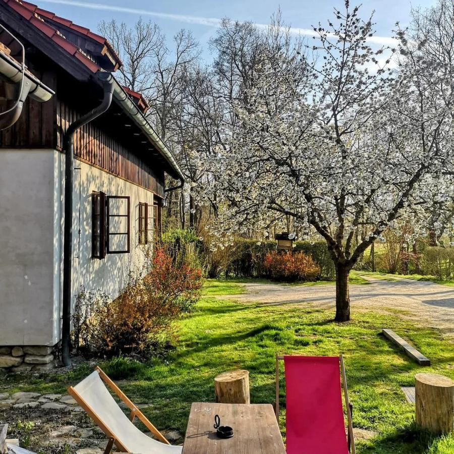 Apartmany Cerveny Dvur Chvalšiny Exterior foto