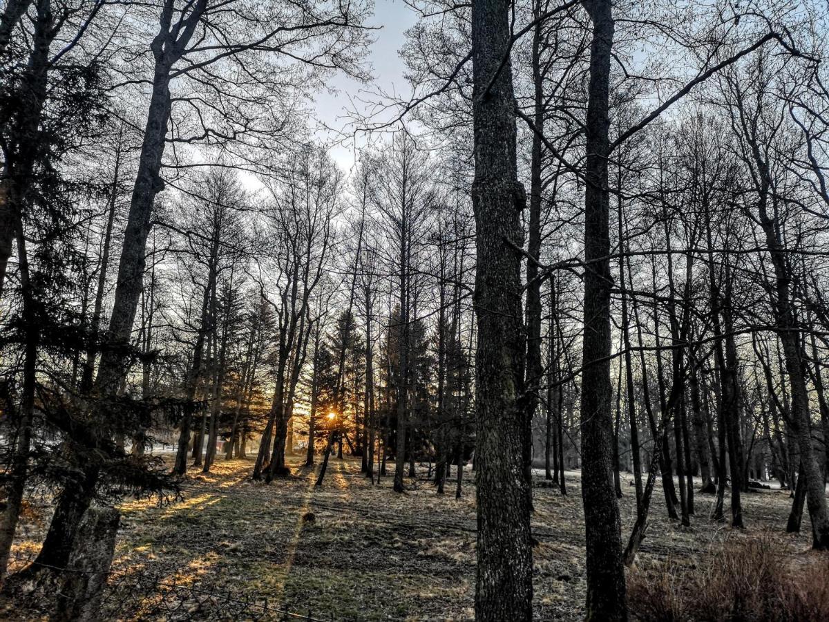 Apartmany Cerveny Dvur Chvalšiny Exterior foto